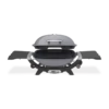 Weber Q(2200N) Smoke Grey LP -US Kitchen Grill Shop 28460024
