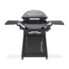 Weber Family Q(3200N+) Smoke Grey LP -US Kitchen Grill Shop 29862124