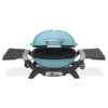 Weber Baby Q 1200N Premium LP Sky Blue 2 Weber Baby Q 1200N Premium LP Sky Blue -US Kitchen Grill Shop 3400042